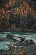 足球比分玩法介绍-足球比分玩法全解析，从入门到精通的指南